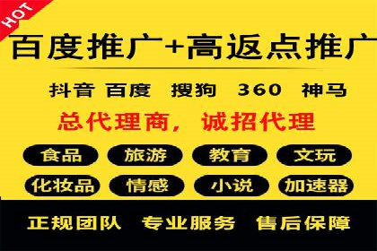 某某SEM服务公司成功案例：从数据出发的营销策略